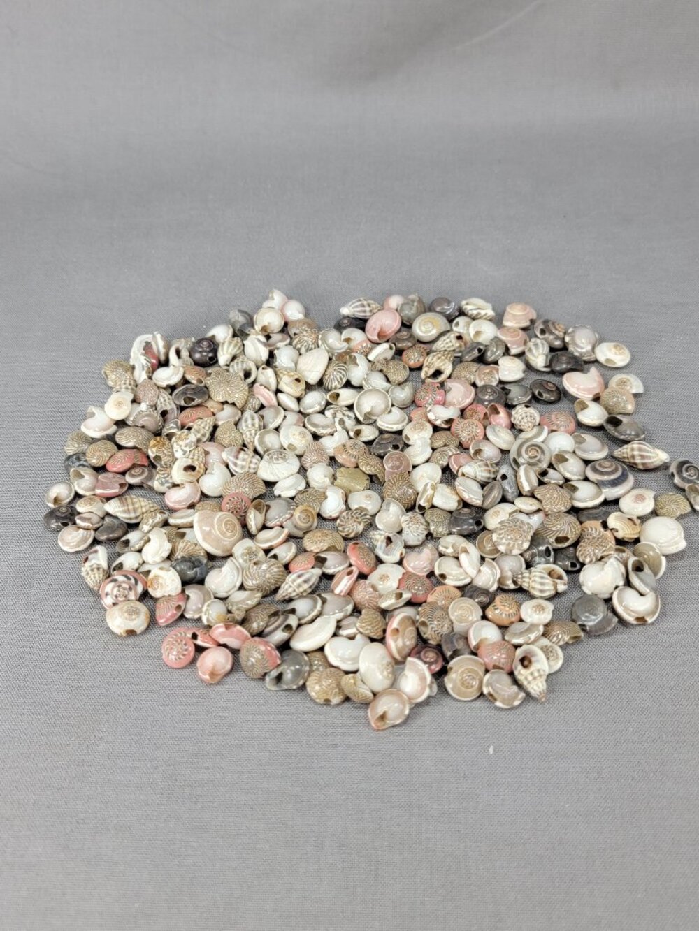 Tiny Button Conch Shell Seashell Mixed Lot Nautical Beach Ocean Decor Crafts